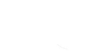 neon pathways marketing consulting